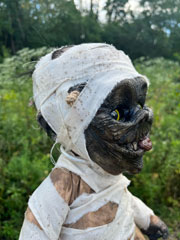 Rags Forevermore Doll