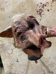bacon bitz Mask