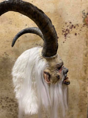blizzard Mask