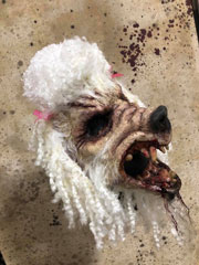 Brutal Poodle Mask