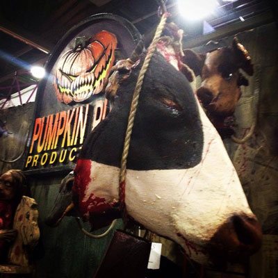 Cow Head wall prop