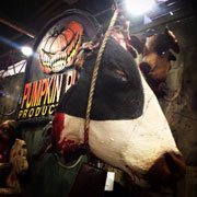 Cow Head wall prop