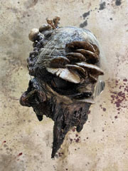 Funguy Mask
