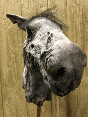 giddy up horse head prop