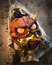 Jack in a Bag