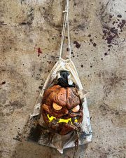 Jack in a Bag