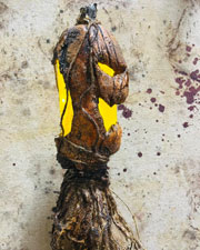 Jack-O-Lantern Swamp Stick