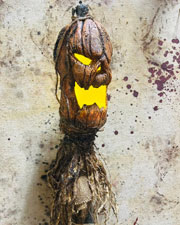 Jack-O-Lantern Swamp Stick