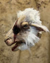 Lamb Chop mask