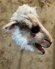 Lamb Chop mask