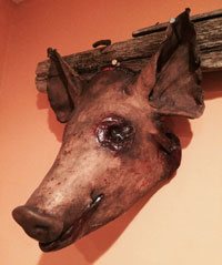 pig head prop.