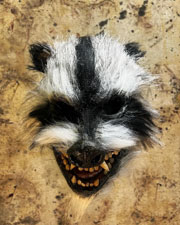 Rabies mask