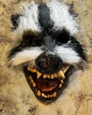 Rabies mask