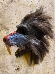 Rage mask