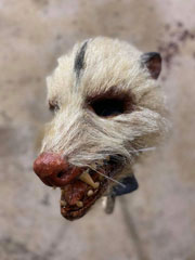 Roadkill Mask