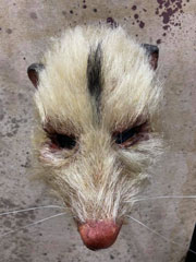 Roadkill Mask