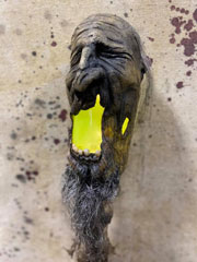 shrunken head swamp stick