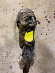 shrunken head swamp stick