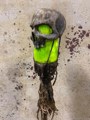 skull swamp stick