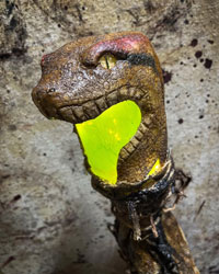 Skull Swamp Stick