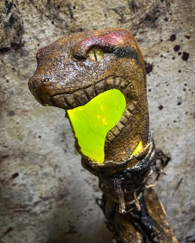Snake Swamp Stick