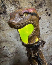 Snake Swamp Stick