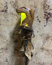 Snake Swamp Stick