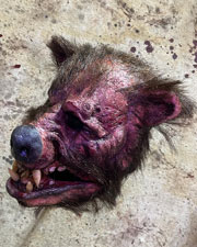 Teddy mask
