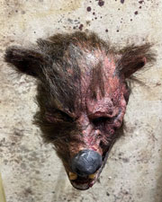 Teddy mask