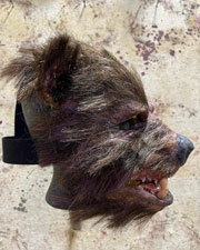 Teddy mask