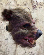 Teddy mask