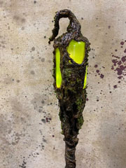 vines swamp stick