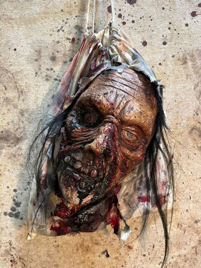 zombie head in a bag
